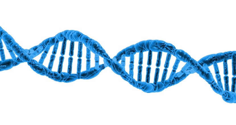 DNA-molekyl. Illustration.