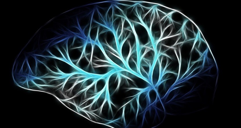 En stiliserad bild av hjärnan med nervtrådar. Illustration.