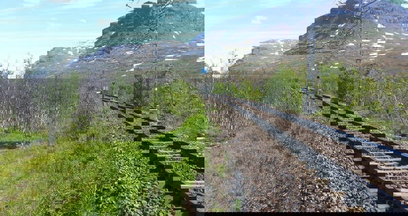 Järnvägsspår mot fjället. Foto.