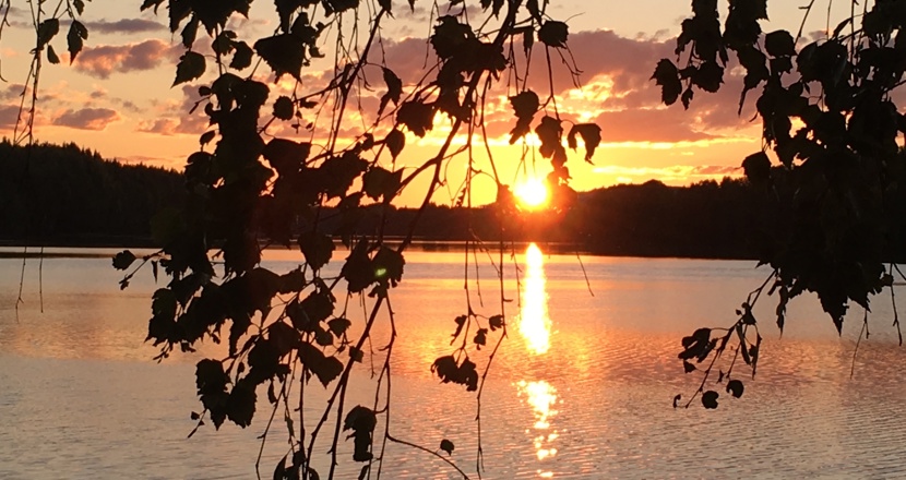 En blomsteräng. Foto.