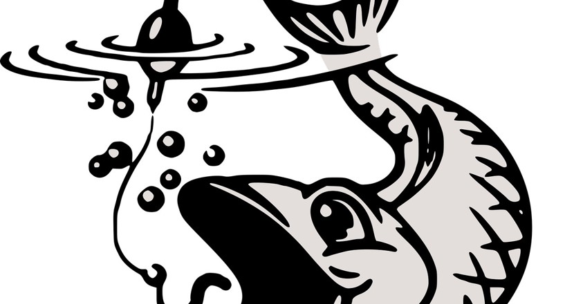 Bild nappande fisk