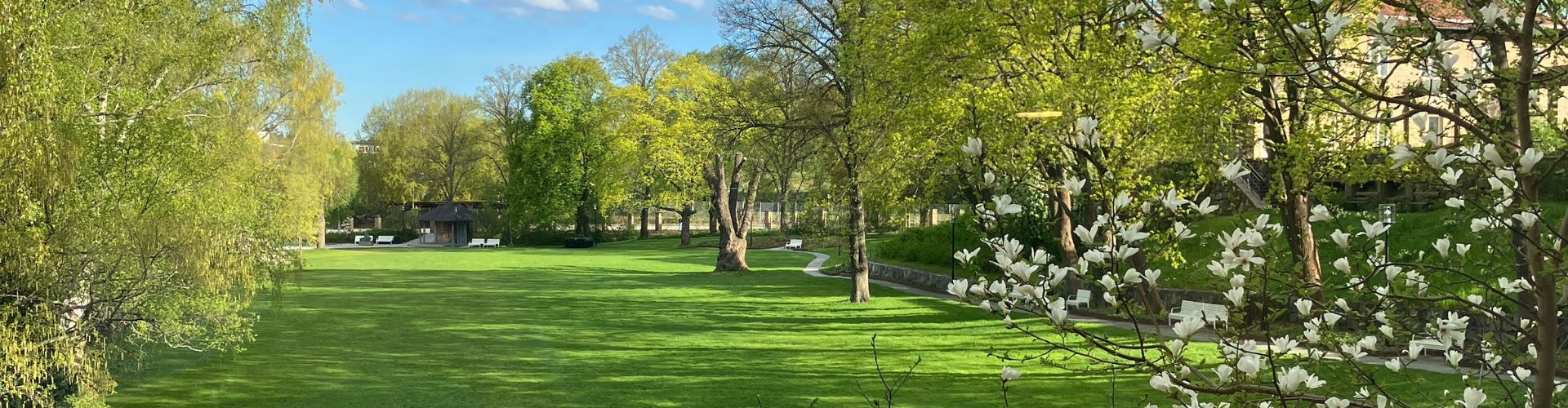 Namnlös Design (68)