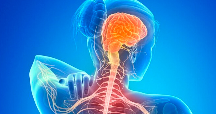 digital-diagnostr-ff-ms-neuro