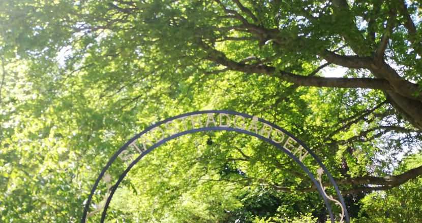 Entrén till Stadsträdgården med grönska från träden i bakgrunden. Foto