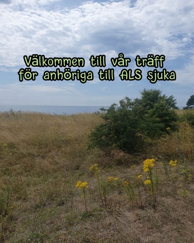 Anhorigtraff ALS