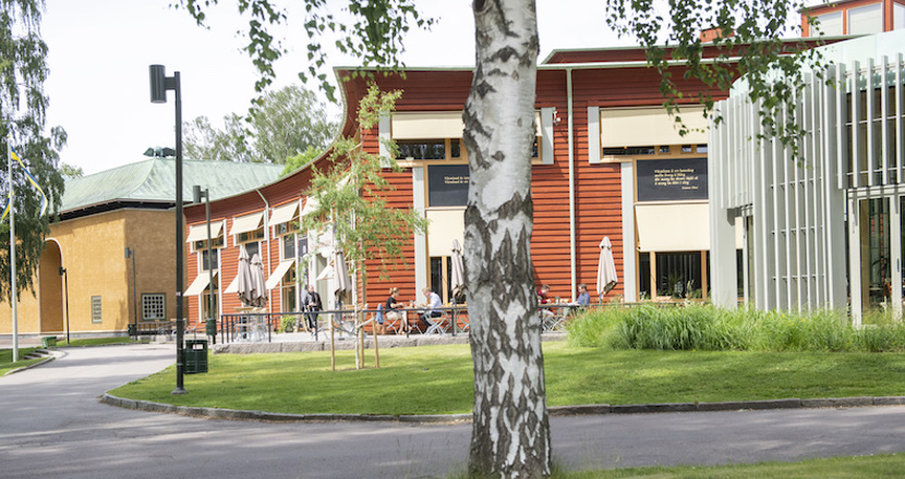 En bild på Värmlands museum utifrån där den moderna delen i rött trä är i förgrunden och den gamla delen i ockragul puts är i bakgrunden, men allra längst fram i bilden en björkstam. Foto.
